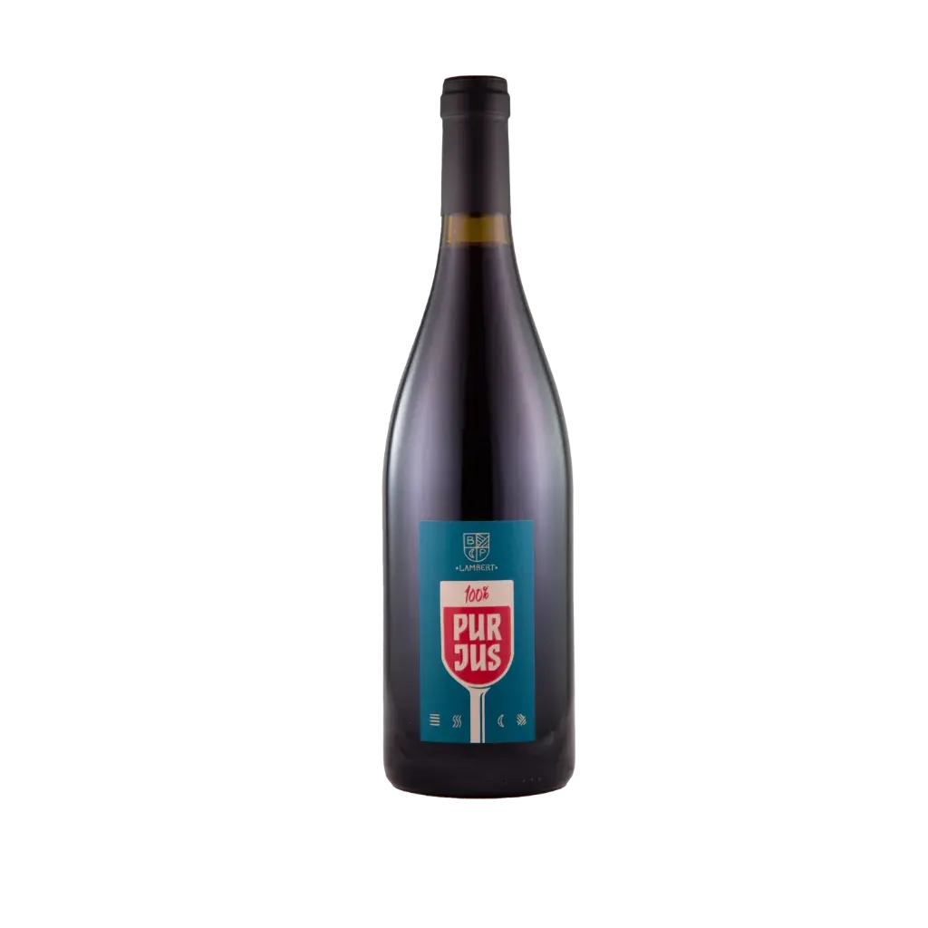 30. Domaine Lambert - Chinon rouge 100% Pur Jus