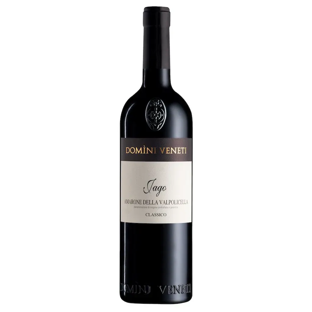 Domìni Veneti - Amarone della Valpolicella 'Vineti di Jago'